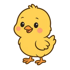 A newly hatched chick